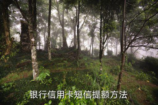 银行信用卡短信提额方法