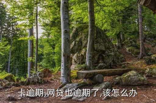 卡逾期,网贷也逾期了,该怎么办