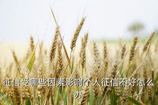 征信受哪些因素影响个人征信不好怎么办