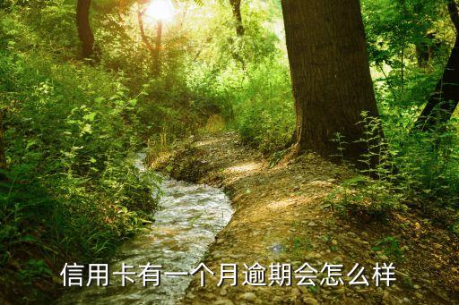 银行信用卡忘记还款30天,邮储银行信用卡忘记还款5天