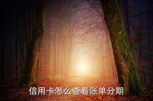 怎么查询信用卡是否有分期,如何查看信用卡分期是否完成?