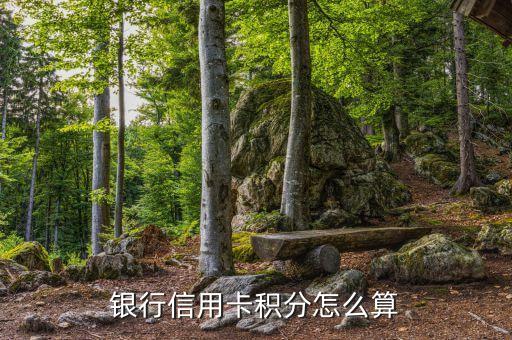 银行信用卡多少积分抵1元,哪些银行信用卡积分可以抵话费?