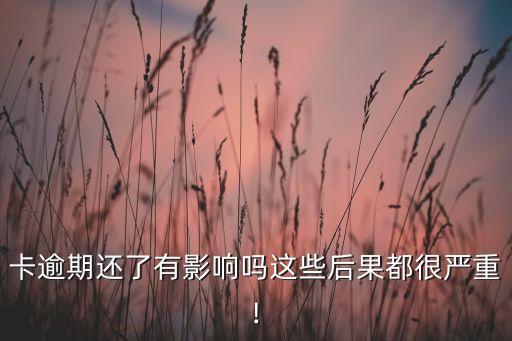 卡逾期还了有影响吗这些后果都很严重!