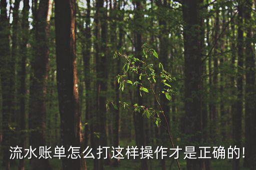 流水账单怎么打这样操作才是正确的!