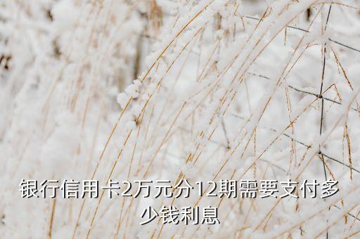 银行信用卡2万元分12期需要支付多少钱利息