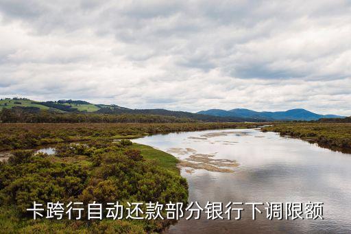 卡跨行自动还款部分银行下调限额
