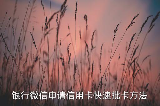 银行微信申请信用卡快速批卡方法