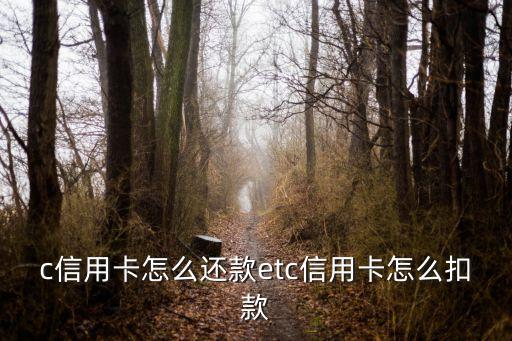 c信用卡怎么还款etc信用卡怎么扣款