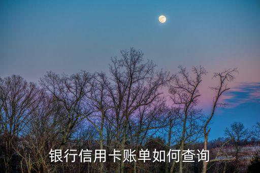 银行信用卡账单如何查询