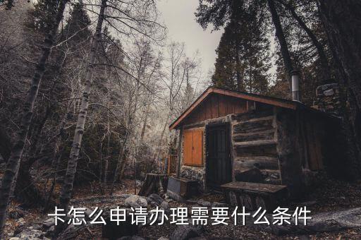 卡怎么申请办理需要什么条件