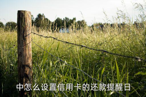 信用卡还款设置提醒,以及信用卡提醒app