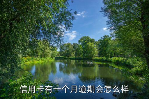 建行信用卡逾期30元,中国建设银行