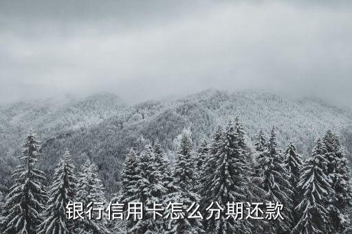 银行信用卡怎么分期还款