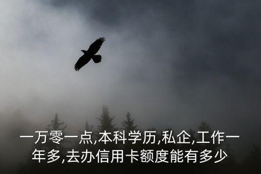出来工作一年办信用卡额度,工作一年可以办信用卡吗?