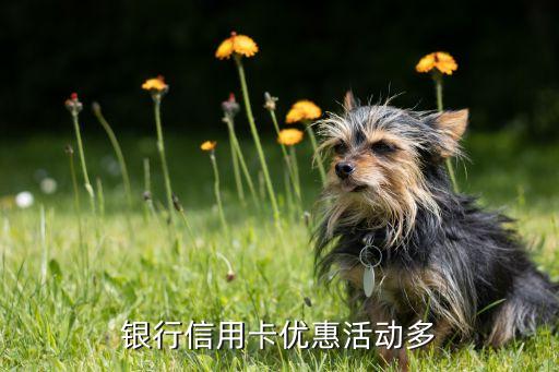 各个银行信用卡活动,哪里可以看到银行的刷卡活动?
