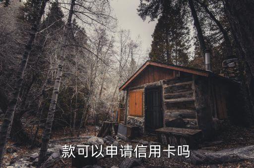 贷款多可以申请信用卡嘛,网上有贷款可以申请信用卡吗?