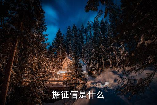 据征信是什么