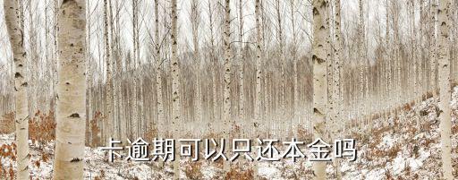 卡逾期可以只还本金吗