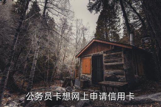 公务员卡想网上申请信用卡