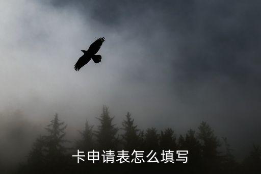 申请信用卡意见怎么写好,填写信用卡申请表需要注意什么?