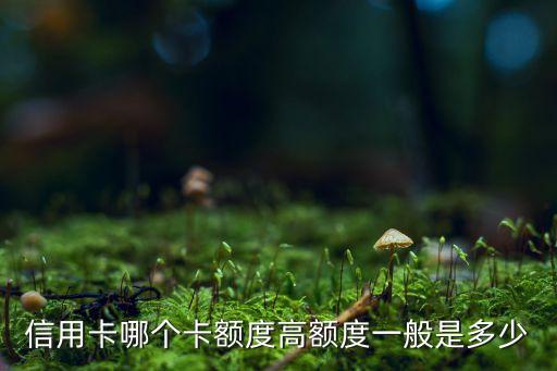 信用卡哪个卡额度高额度一般是多少