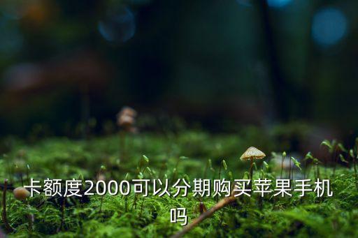 卡额度2000可以分期购买苹果手机吗