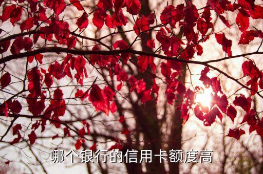 哪个银行的信用卡额度高