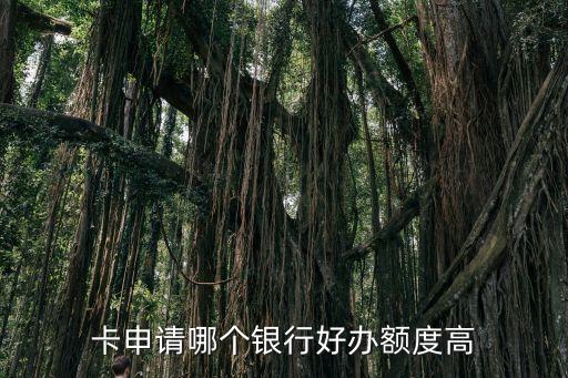 卡申请哪个银行好办额度高