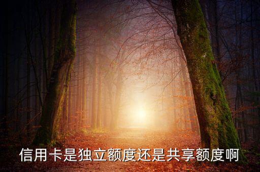 工商信用卡额度是不是共用,工行信用卡额度可以共享吗?