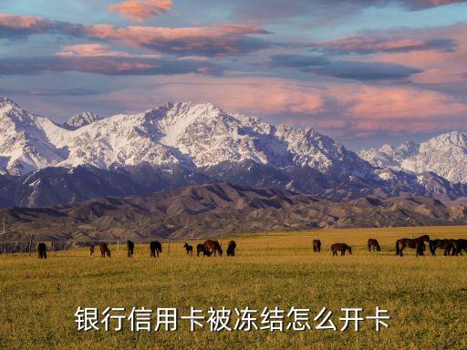 银行信用卡被冻结怎么开卡