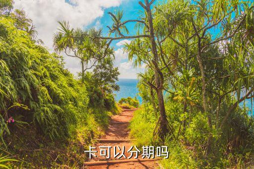 卡可以分期吗