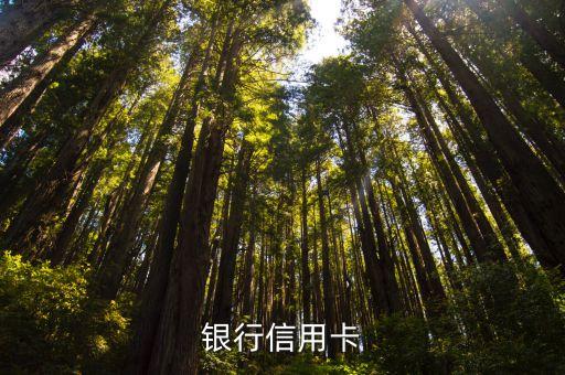 银行信用卡