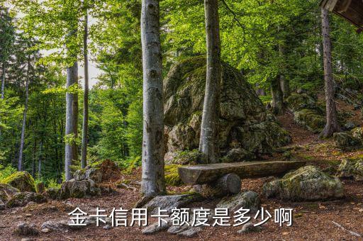 金卡信用卡额度是多少啊