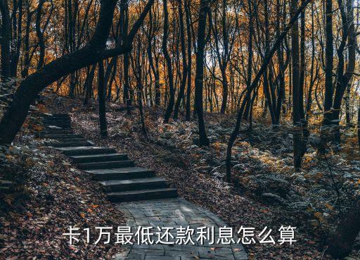 信用卡2万4最低还款,信用卡三万最低还款多少?