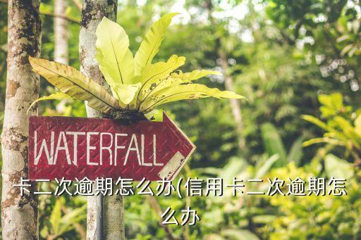 卡二次逾期怎么办(信用卡二次逾期怎么办