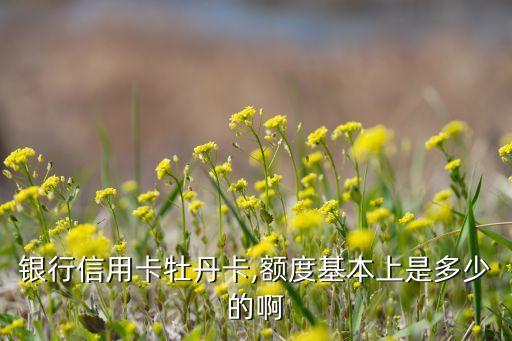 银行信用卡牡丹卡,额度基本上是多少的啊