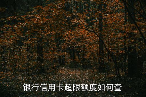 信用卡查询额度 超额,广发信用卡开户限额超限