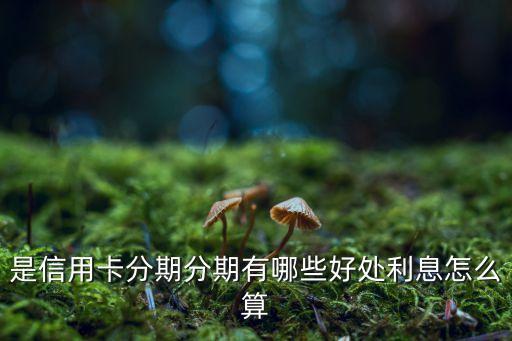 是信用卡分期分期有哪些好处利息怎么算