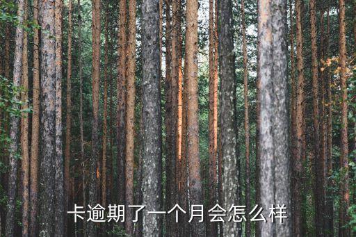 信用卡逾期吵起来了,国内有多少人信用卡逾期?