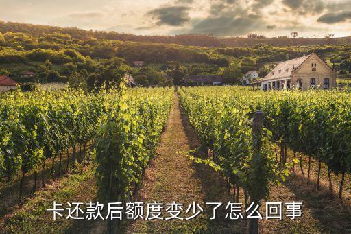 卡还款后额度变少了怎么回事