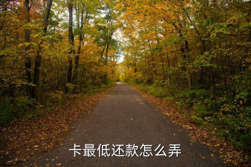 卡最低还款怎么弄