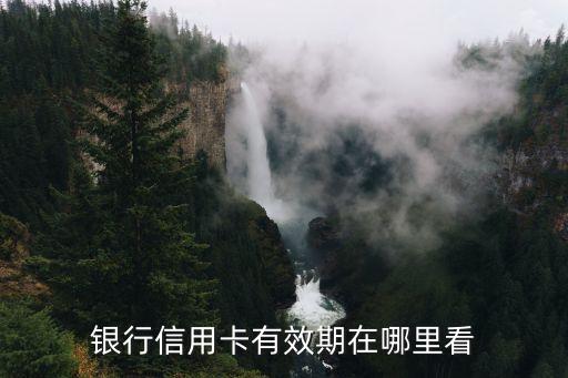 银行信用卡有效期在哪里看