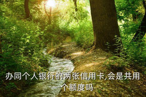 办同个人银行的两张信用卡,会是共用一个额度吗
