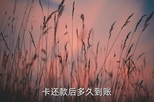 农行信用卡还款两天未到账,农行信用卡10天
