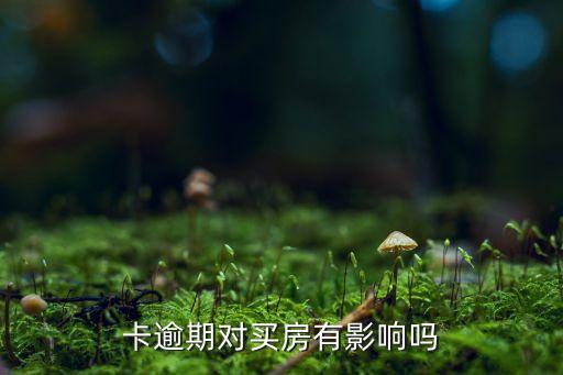 卡逾期对买房有影响吗