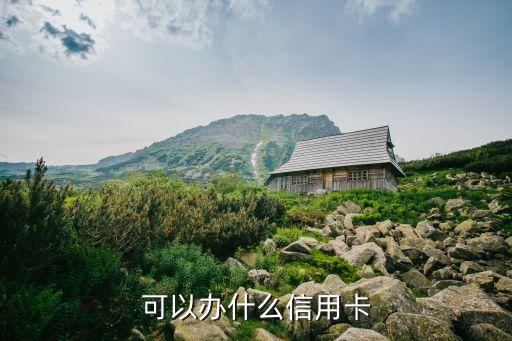 可以办什么信用卡