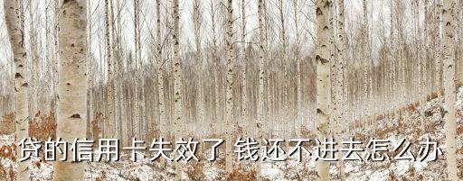 贷的信用卡失效了 钱还不进去怎么办