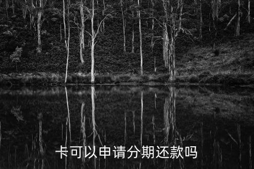 卡可以申请分期还款吗
