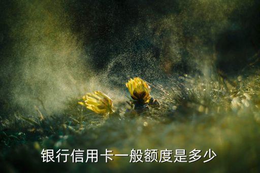 银行信用卡一般额度是多少