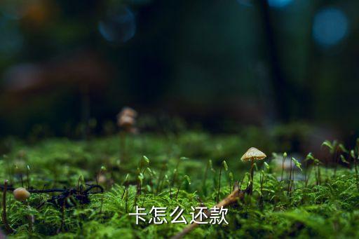 卡怎么还款